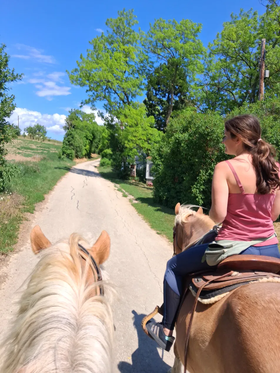 Bianca beim Ausreiten in Niederösterreich